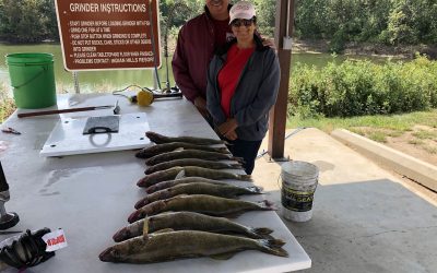 Lake Sakakawea Fishing Report August 21, 2018