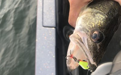 Lake Sakakawea Fishing Report- September 5th, 2018