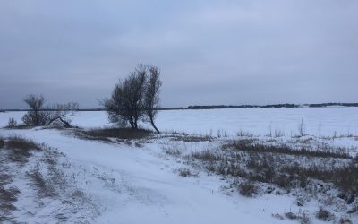 Ice Fishing Report-December 7th, 2025