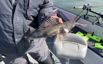 Missouri River Fishing Report-April 25th, 2021