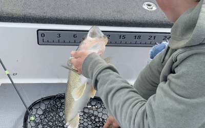 Devils Lake and Lake Sakakawea Fishing Report-June 13th, 2021