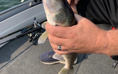 Lake Sakakawea Fishing Report-July 26th, 2021