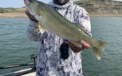 Lake Sakakawea and Devils Lake Fishing Report-July 19th, 2021