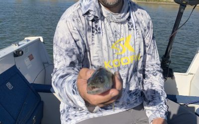Missouri River Fishing Report-October 2nd, 2021