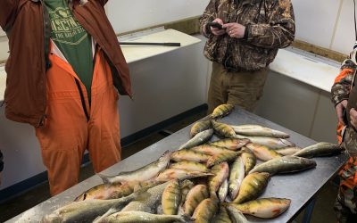 Devils Lake Ice Fishing Report-February 13th, 2022