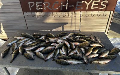 Ice Fishing Report-February 12th, 2023
