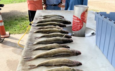ND Fishing Report-June 11th, 2023