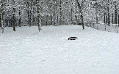 Missouri River Fishing Report-October 29th, 2023