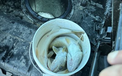 Ice Fishing Report-March 3rd, 2024