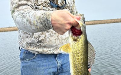 North Dakota General Fishing Report-May 27th, 2024