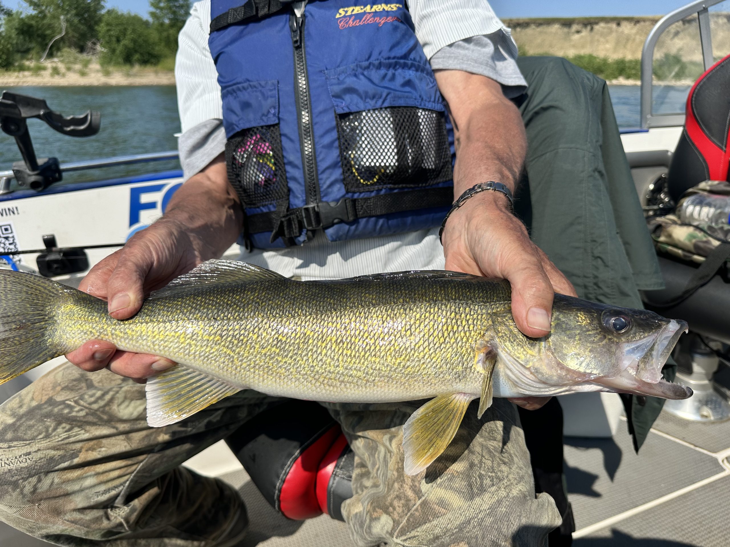 0FE9FADD-687B-466B-80F5-AB0332395BF6