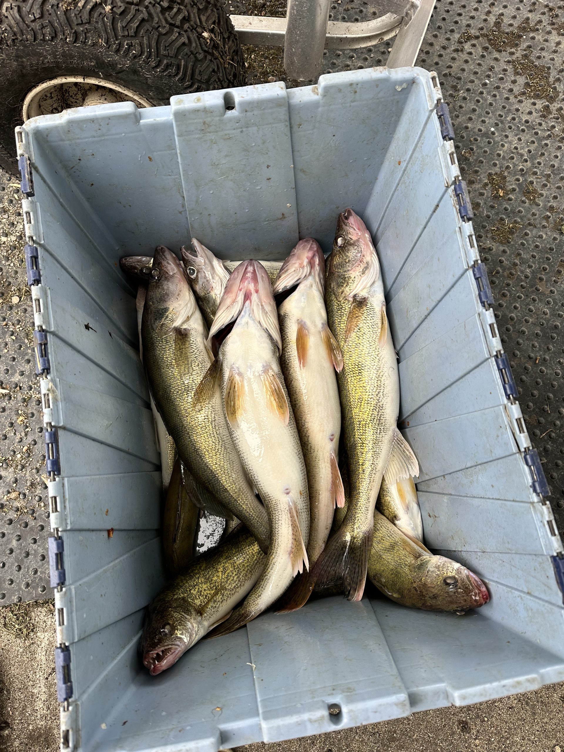 99D8C7C9-8314-47BC-BD55-96981405DE69