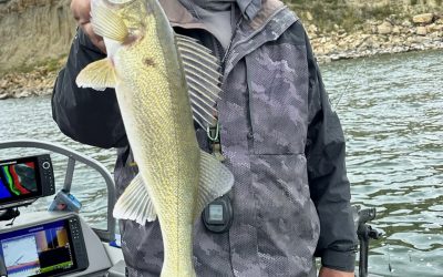 Missouri River/Sakakawea Fishing Report-September 1st, 2024
