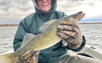 Missouri River Fishing Report-October 27th, 2024