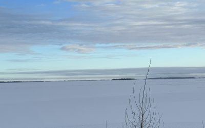 ND Fishing Report-November 30th, 2025