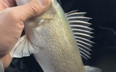 Ice Fishing/Ice Report-December 15th, 2024