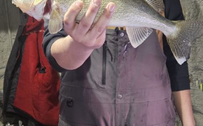 Ice Fishing Report-January 12th, 2025