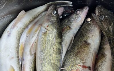 Ice Fishing Report-February 9th, 2025