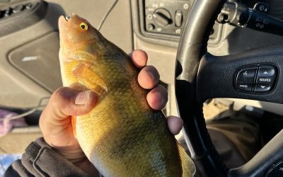 Ice Fishing Report-February 23rd, 2025