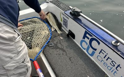 ND Fishing Report (Devils lake)-June 8th, 2025