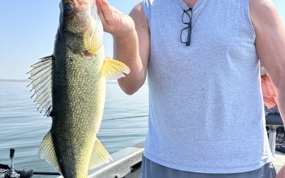 Lake Sakakawea Fishing Report-September 14th, 2025