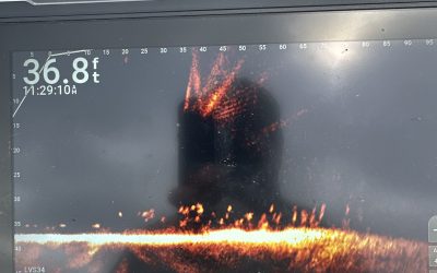 Lake Sakakawea Fishing Report-September 21st, 2025