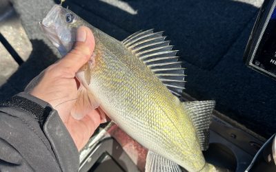 ND Fishing Report-October 26th, 2025