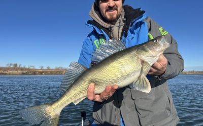 Missouri River Fishing Report-November 16th, 2025