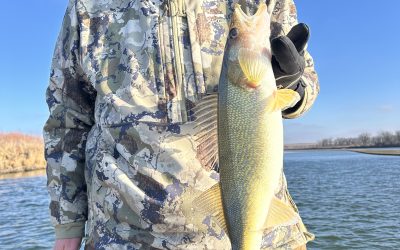 Missouri River Fishing Report-November 23rd, 2025