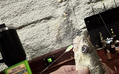 Ice Fishing Report-January 4th, 2026