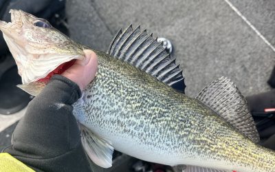 ND Fishing Report- January 11th, 2026