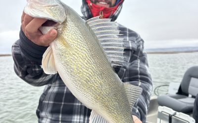 Missouri River Fishing Report-April 19th, 2026