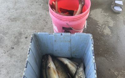 Devils Lake Fishing Report-June 7th, 2026