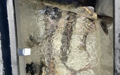 Devils Lake Fishing Report-June 14th, 2026