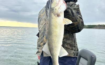 Lake Sakakawea Fishing Report-June 21st, 2026