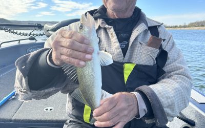 Missouri River and Lake Sakakawea Fishing Report-October 18th, 2026